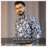 شیرزاد مجیدی آهنگ دلم دا پیت
